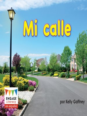 cover image of Mi calle